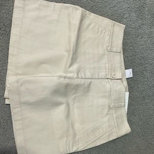 Loft 6” shorts in 2 Curvy in beige/tan. NWT